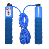 ENPEX 乐士海绵软柄计数跳绳运动健身跳绳（颜色随机发）(蓝色)