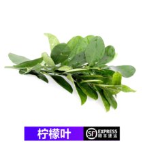 【顺丰】新鲜柠檬叶 青柠叶 鱼生佐料鱼生店奶茶店用料 冬阴功汤料 250g