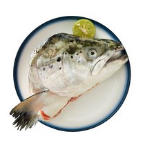 美威三文鱼头1.2-1.5kg 3只/独立装 BAP认证  生鲜 海鲜水产