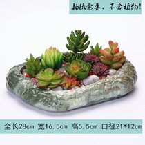 特大号多肉植物花盆器多肉花盆粗陶绿植物创意简约大口径拼盘陶瓷(16004-1 拼盘 1个 中等)