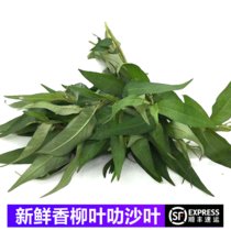 【顺丰】新鲜香柳叶 叻沙叶 拉沙叶拉莎叶 鱼生配料火锅配料(500g)