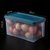 冰箱收纳盒食品保鲜盒冷冻保鲜专用整理盒子厨房水果蔬菜收纳神器kb6(蓝6个装(加大4.5L))