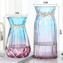 创意花瓶玻璃透明水养客厅摆件鲜花插花瓶北欧简约富贵竹干花花瓶(24CM浪漫+18折纸2件套【蓝紫】中 默认版本)