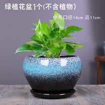 花盆陶瓷大号带托盘特价清仓创意个性简约绿萝绿植蝴蝶兰多肉花盆(（蓝花釉）苹果一个中号 套)