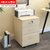 木质文件柜小型资料办公柜家用抽屉式带锁小柜子组装储物移动矮柜(B款天山雪松 0mm)