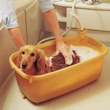 爱丽思IRIS 环保树脂宠物犬猫用品狗狗洗澡盆浴盆BO-800E(橙色)