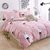 春之北纬被套单件被罩粉色可爱兔子单人被罩学生宿舍床上用品1.5米QZBW869JJ  150*200(150*200)
