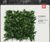 俊采云JYCV15人造仿真塑料草坪室外植物墙绿植墙户外工程用绿防晒防火阻燃50厘米*50厘米（单位：个）(绿色 JYCV15)