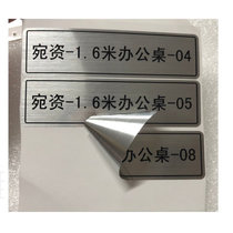 彩标 哑光打印专用标贴(计价单位：平方米)(银色VI-CTK700)