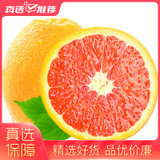 中华红血橙5斤装