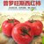 杞农云商 普罗旺斯沙瓤西红柿农家自种大番茄2.5公斤装