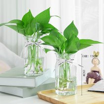 3个9.9元 加厚玻璃花瓶透明北欧ins风创意水培植物绿萝水养插花器(（15cm高-枫叶2个）送绿萝 中等)