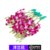 【顺丰】新鲜洋兰花鲜活紫酒店西餐厅摆盘装饰 一包12支 杨兰花西餐摆盘装饰