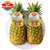 佳农菲律宾菠萝2个装 单果重900g~1100g 生鲜 菠萝 水果