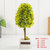莎芮 创意仿真树绿植小盆栽室内植物盆景办公室绿色装饰摆设样板房摆饰(TY1453-3黄色)