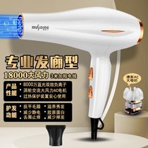发廊电吹风机理发店专用3000w大功率负离子家用大风力速干7yb(德系--【晧月白】--送集风嘴)