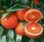资中血橙，75-80大果单果重150克左右果色橙红较光滑；果肉色深，全为紫红，脆嫩多汁，甜酸适口，香气浓郁，近无核，(9斤)