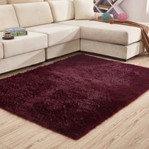 现代简约丝毛加厚地毯卧室客厅茶几床边毯(1米x2米)(丝毛咖啡色 1米x2米)