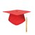 SUNTEK定制印字高中18岁成人礼帽成人礼帽学士帽毕业典礼帽成人礼(可调节 成人礼帽（塑料）)