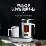 生活元素制冷养生壶多功能神器制热小型煮茶器全自动加厚玻璃茶壶(灰白色)