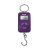 EKS 0406 便携式手提电子秤(紫色)