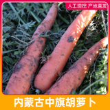 内蒙古胡萝卜农家自种蔬菜乌兰察布原产地察右中旗红萝卜新鲜现挖10斤装(10斤)