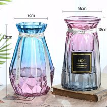 【两件套】北欧玻璃小花瓶透明彩色水培植物干花欧式客厅插花摆件(18钻石F 1+18贴纸F 2 中等)