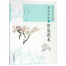 花鸟写生之常见花木/中国画名师典范课堂