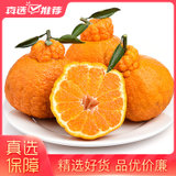 一念橙猕四川蒲江丑橘不知火丑八怪橘子3/5/9斤包邮(小果 5斤)