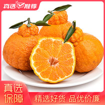 一念橙猕四川蒲江丑橘不知火丑八怪橘子3/5/9斤包邮(中果 9斤)