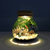 生态瓶微景观水族箱造景斗鱼缸创意缸办公桌面书桌客厅观赏玻璃缸(小号斑马鱼款+单色灯)