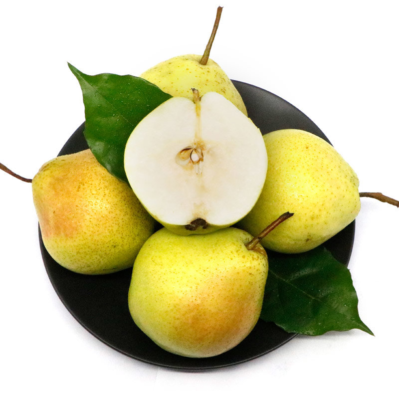 陕西黄陵翡翠梨当季新鲜水果12枚装产地直发15盒