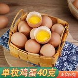 富祺元【国美好货】五谷喂养鲜鸡蛋10枚盒装  无抗安全放心