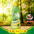 阳光森林洗衣液 洗衣液系列瓶装乳木瓜天然香氛1kg/瓶 YXY1000