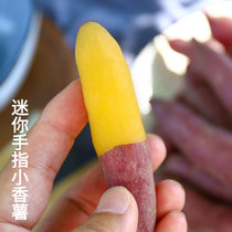 红薯新鲜包邮临安正宗天目山小香薯紫薯蜜薯农家自种番薯山芋地瓜(2斤+小果)