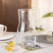 北欧ins风简约玻璃花瓶水培鲜花插花小花瓶客厅餐桌水养创意摆件(大)