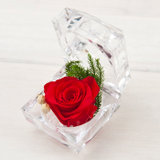 情人节礼物保鲜花不凋谢的鲜花 戒指盒玫瑰女友生日表白礼物(红玫瑰)