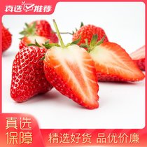 【顺丰冷运】现摘丹东99红颜奶油草莓 久久红颜草莓 新鲜水果礼盒装 空运直达 年货礼物(2斤装（大果）)