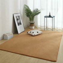 ins北欧地毯垫客厅茶几毯现代简约卧室房间满铺床边毯大面积家用(卡其 色 100*160cm)