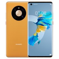 华为 HUAWEI Mate40(OCE-AN10) 8GB+256GB 双卡双待 5G全网通 秋日胡杨