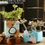 多肉花盆陶瓷 透气粗陶创意室内肉肉植物小花盆组合陶瓷组合花盆(蓝猫卡通组合2个 小)