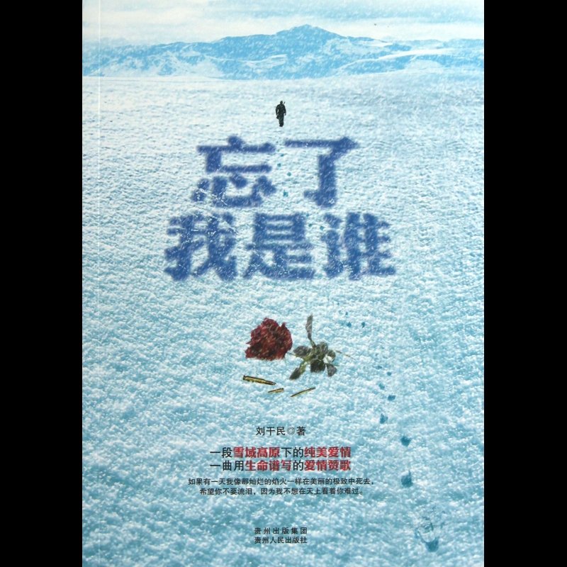 《忘了我是谁》图片()【简介|评价|摘要|在线阅读】-国美博库网旗舰店