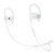 Beats Powerbeats3 by Dr. Dre Wireless无线耳机(白色)