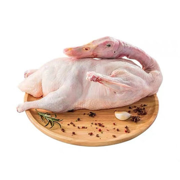 旺鲜汪原产地直发农户散养嫩鸭产地直发安徽八里河生态放养麻鸭嫩鸭