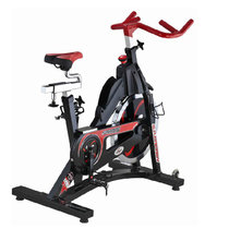 艾威BC4550动感单车 室内健身房运动器材家用脚踏自行车 商务(黑色 动感单车)