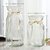 创意花瓶玻璃透明水养客厅摆件鲜花插花瓶北欧简约富贵竹干花花瓶(24CM浪漫+18钻石2件【透明】中等 默认版本)