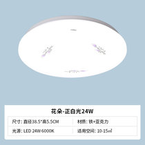 雷士led吸顶灯简约现代阳台灯温馨卧室灯圆形灯具走廊过道灯书房(花朵 LED 24w 正白光)