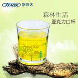 SKATER斯凯达日本进口亚克力水杯 透明清新塑料杯子 健康耐热口杯