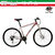 XD690意大利TRUBBIANI 途比安尼 *自行车 超好骑行角度 国内总代理(白色)