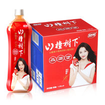 冠芳山楂汁果汁饮料1.25L*6 真快乐超市甄选